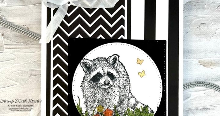 card front of the Black & White Designer Series Paper with a racoon stamped image